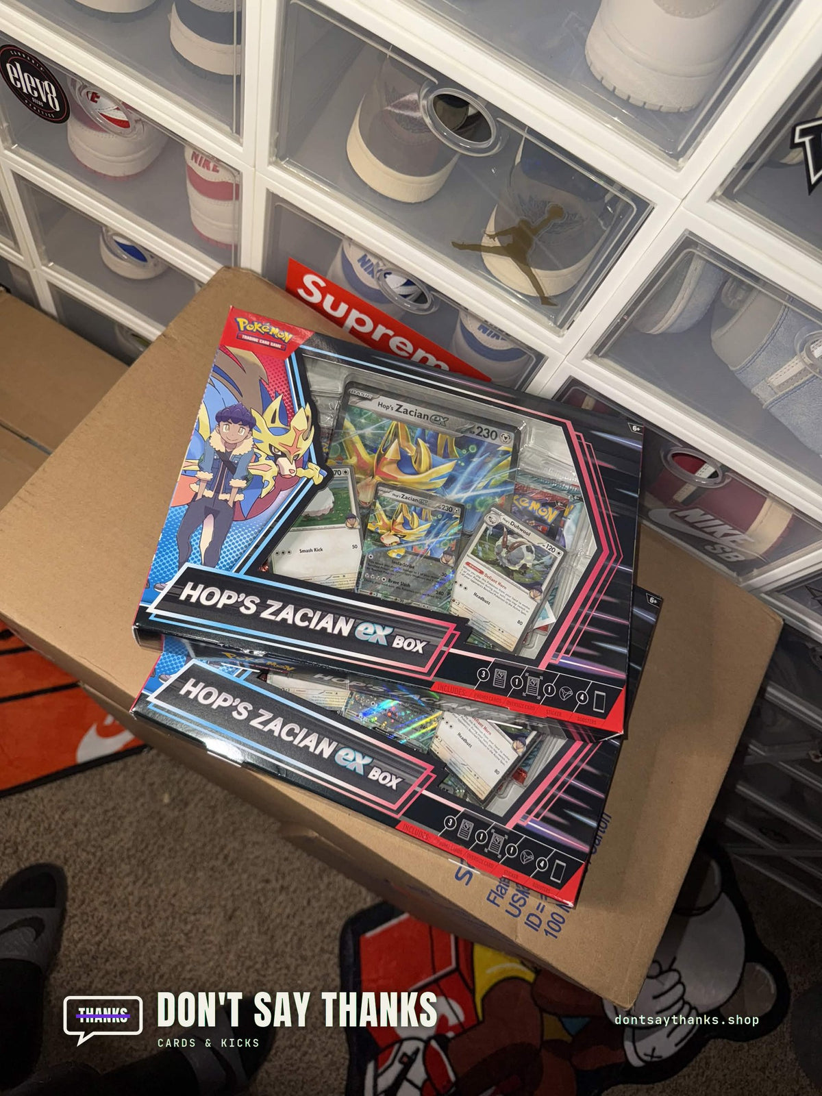 Hop's Zacian ex Box, photo 1